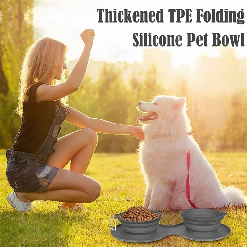 Foldable Double Pet Feeding Bowl for Dogs and Cats