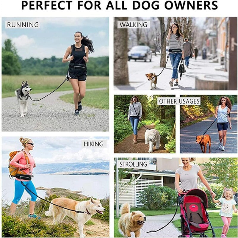 Hands Free Leash with Shock Absorbing Bungee for Training Up To 180lbs - Shop Savvy HQ