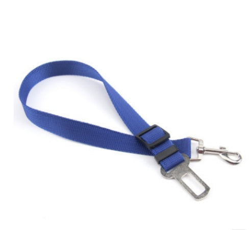 Fixed Polyester Dog Leash - Shop Savvy HQ