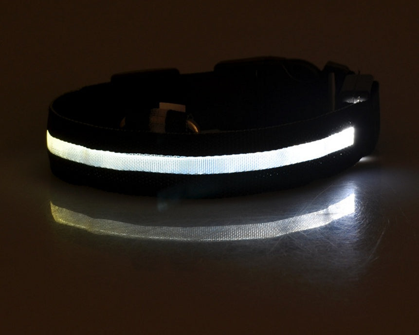 LED Glow Dog Collar for Night Safety and Visibility