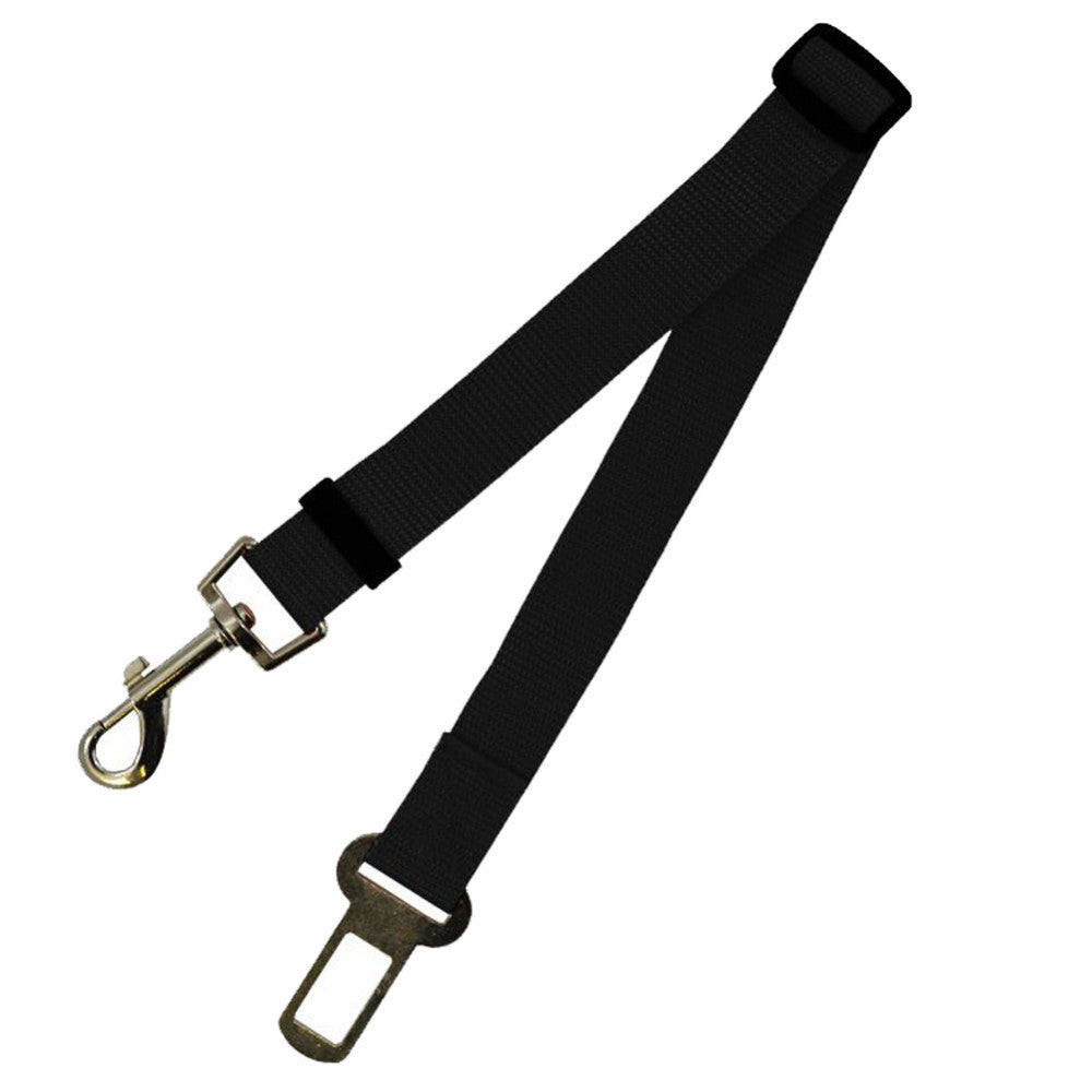 Fixed Polyester Dog Leash - Shop Savvy HQ