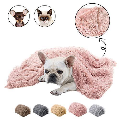 Pet Plush double blanket - Shop Savvy HQ