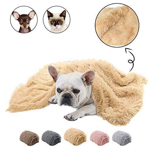 Pet Plush double blanket - Shop Savvy HQ