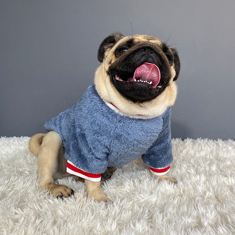 Pet sweater - Shop Savvy HQ