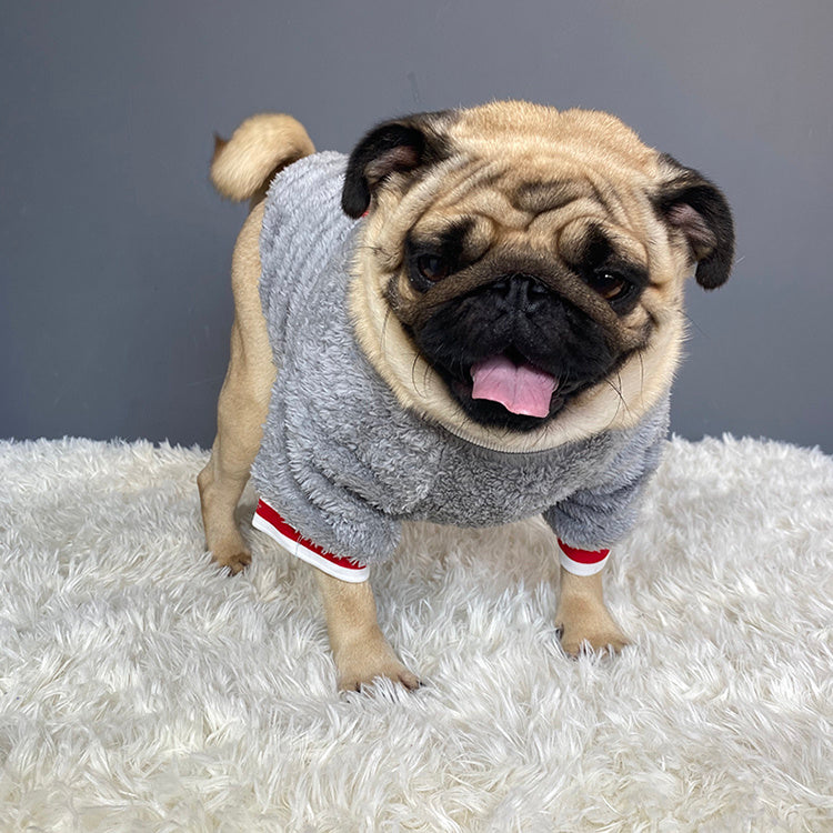 Pet sweater - Shop Savvy HQ