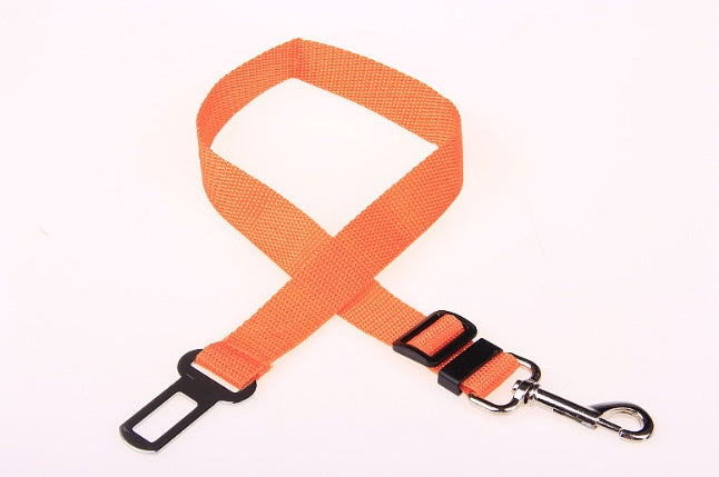 Fixed Polyester Dog Leash - Shop Savvy HQ