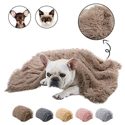 Pet Plush double blanket - Shop Savvy HQ