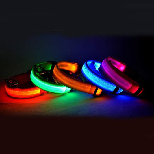 LED Glow Dog Collar for Night Safety and Visibility