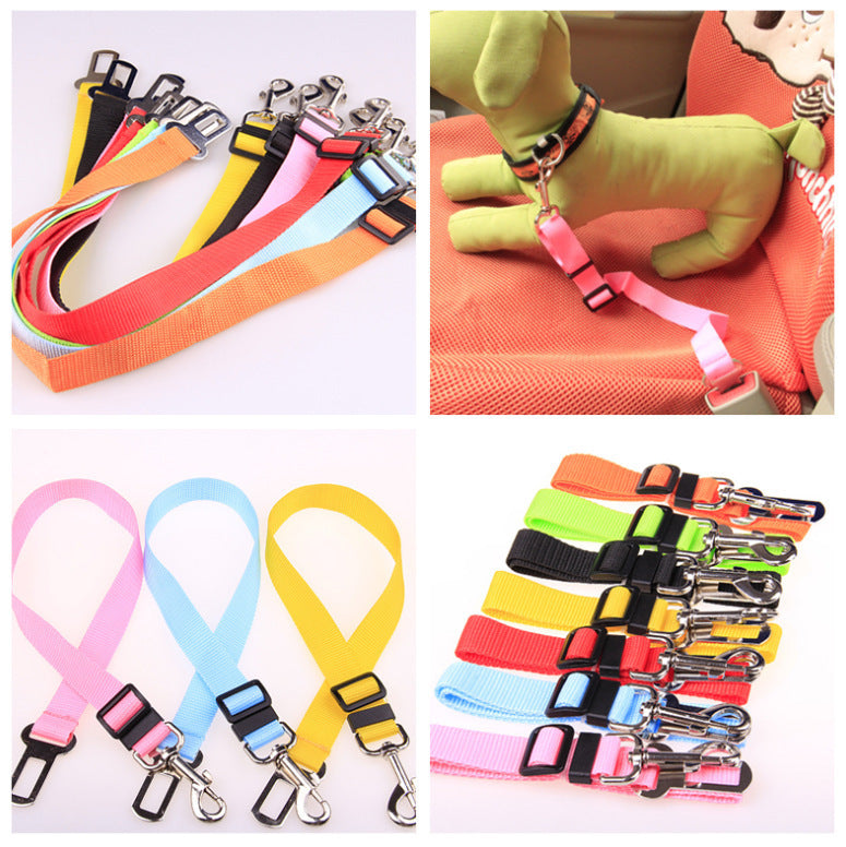 Fixed Polyester Dog Leash - Shop Savvy HQ