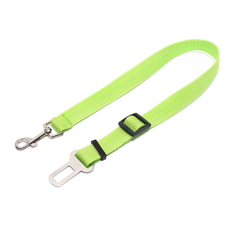 Fixed Polyester Dog Leash - Shop Savvy HQ