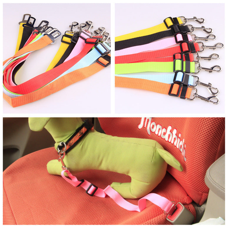 Fixed Polyester Dog Leash - Shop Savvy HQ