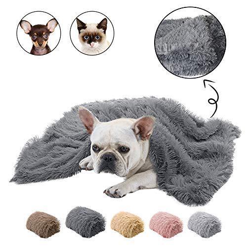 Pet Plush double blanket - Shop Savvy HQ