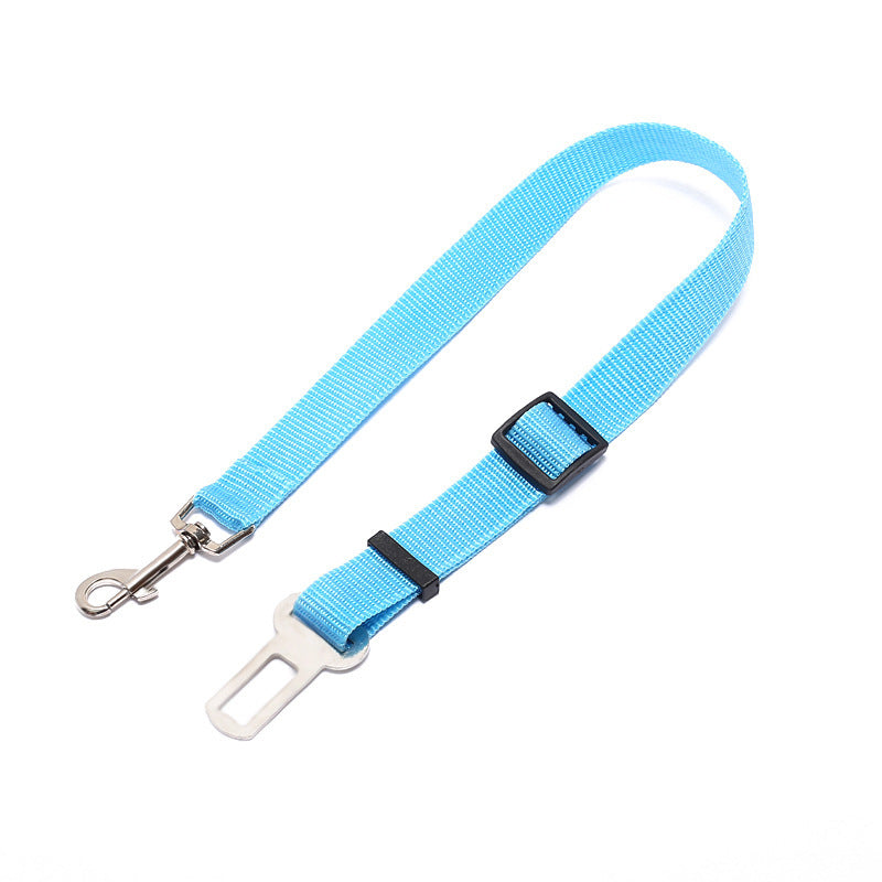 Fixed Polyester Dog Leash - Shop Savvy HQ
