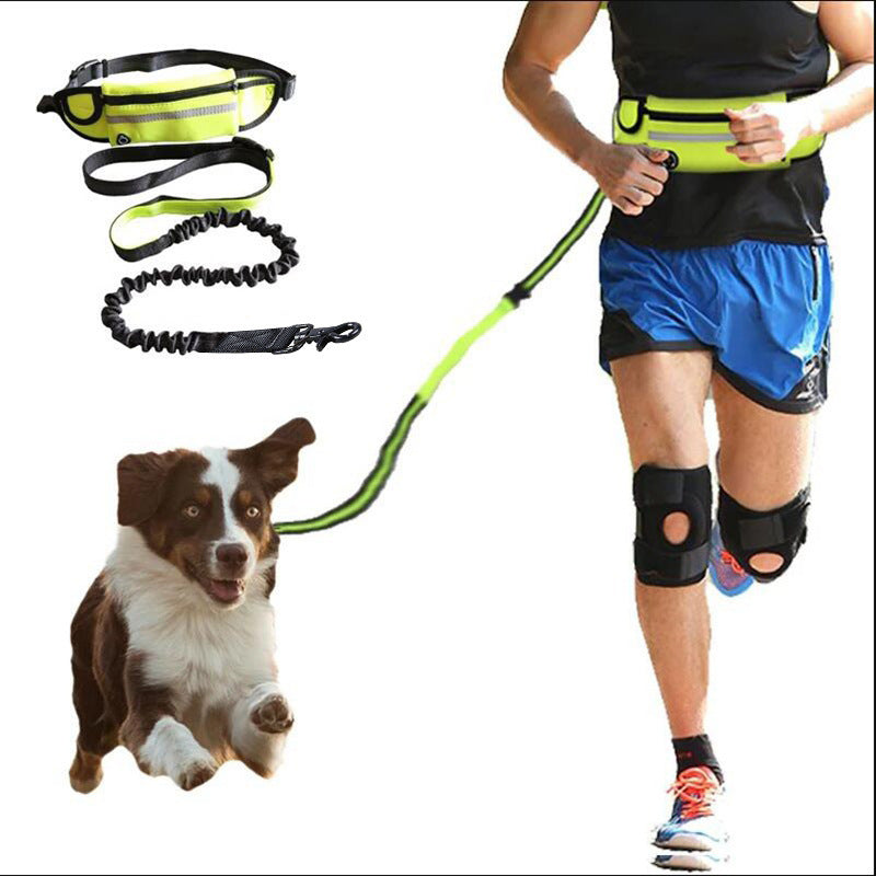 Hands Free Leash with Shock Absorbing Bungee for Training Up To 180lbs - Shop Savvy HQ