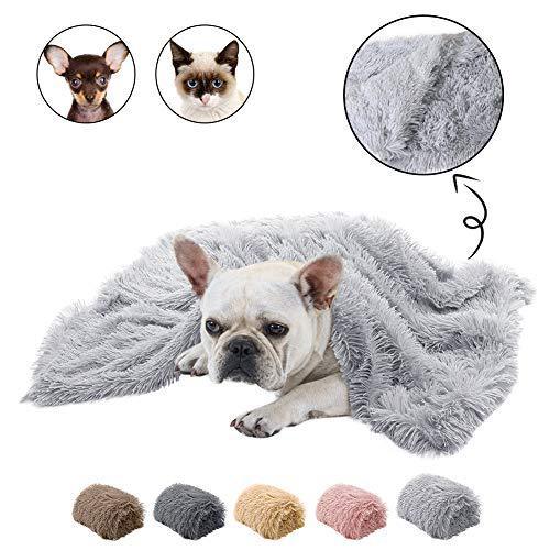 Pet Plush double blanket - Shop Savvy HQ