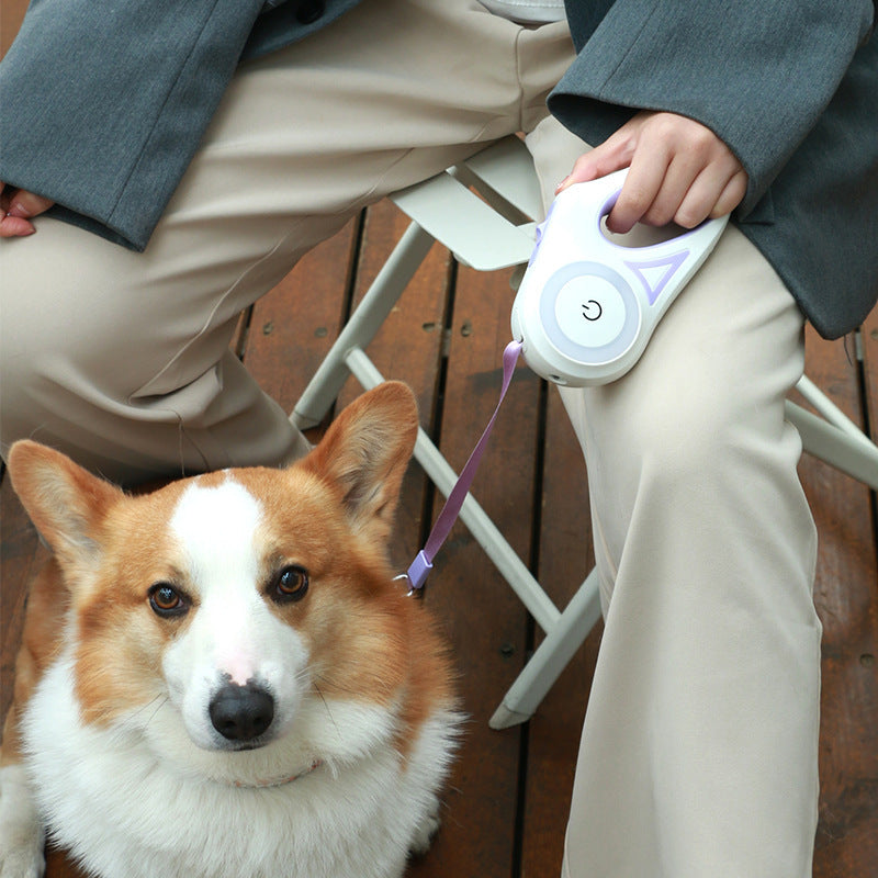 Fantastic Retractable Dog Leash with Built-in Spotlight For Extra Safety - Shop Savvy HQ