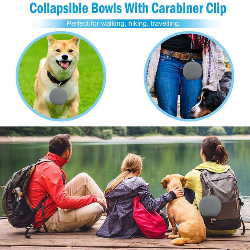 Foldable Double Pet Feeding Bowl for Dogs and Cats