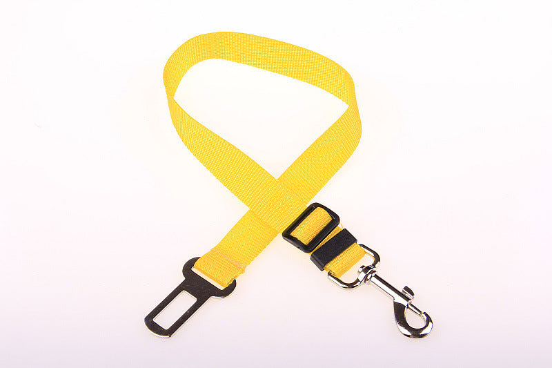 Fixed Polyester Dog Leash - Shop Savvy HQ