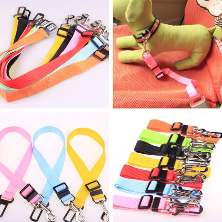 Fixed Polyester Dog Leash - Shop Savvy HQ