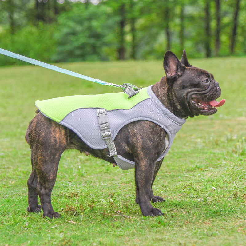 Pet Cooling Vest Heat Resistant and Breathable Sun-proof Clothing - Shop Savvy HQ